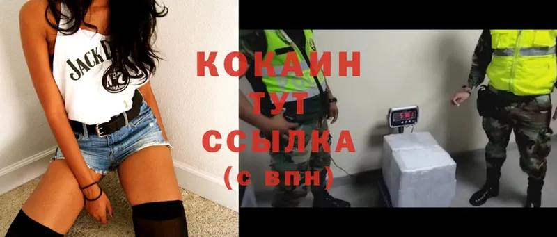 COCAIN Fish Scale  Кинешма 