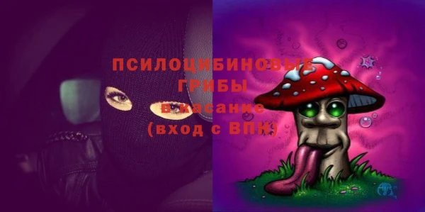 шишки Володарск