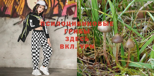 марки lsd Нефтегорск