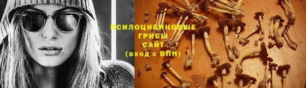 шишки Навашино