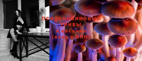 шишки Навашино