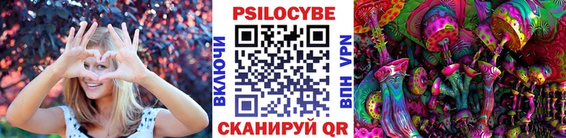мега ONION  сколько стоит  Кинешма  Галлюциногенные грибы Psilocybe 