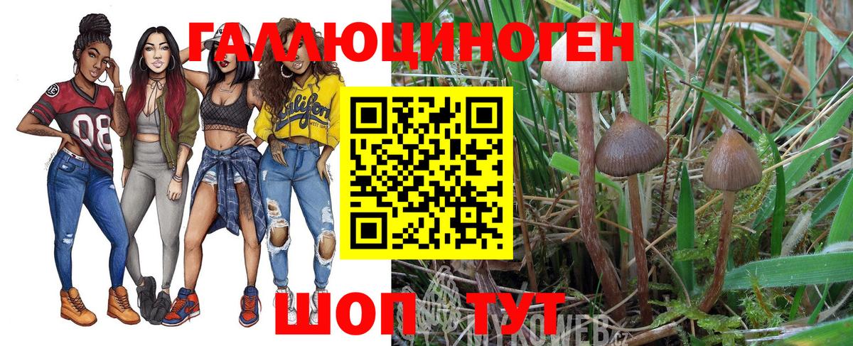 Псилоцибиновые грибы MAGIC MUSHROOMS Кинешма