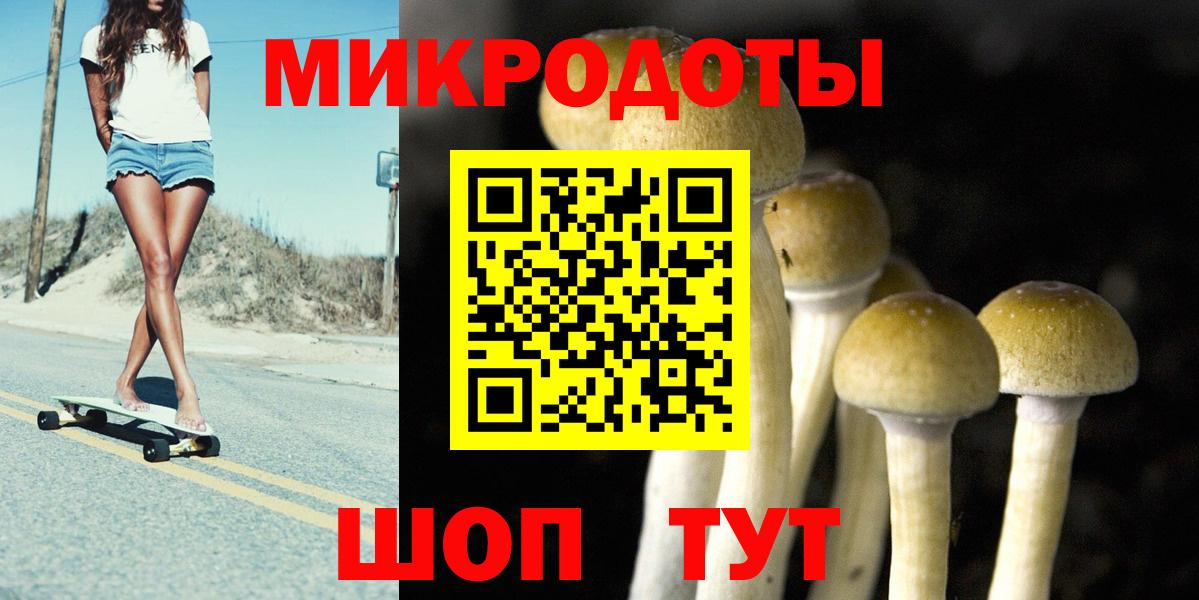 цена   Кинешма  Галлюциногенные грибы Magic Shrooms  Псилоцибиновые грибы Cubensis 