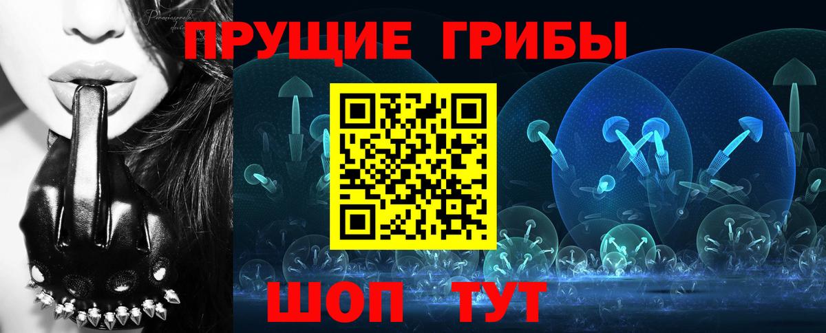 Псилоцибиновые грибы GOLDEN TEACHER  как найти закладки  Кинешма  Галлюциногенные грибы ЛСД  Вход с VPN 