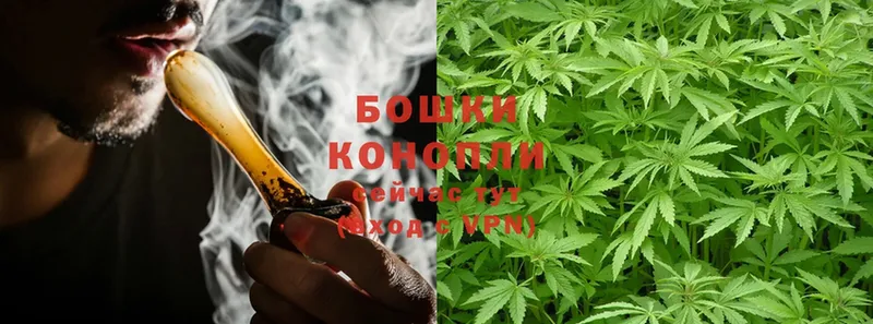 наркошоп  Кинешма  МАРИХУАНА SATIVA & INDICA 